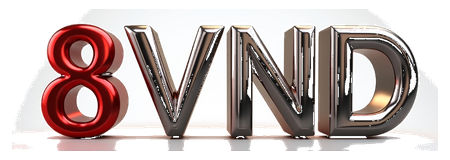 8vnd logo